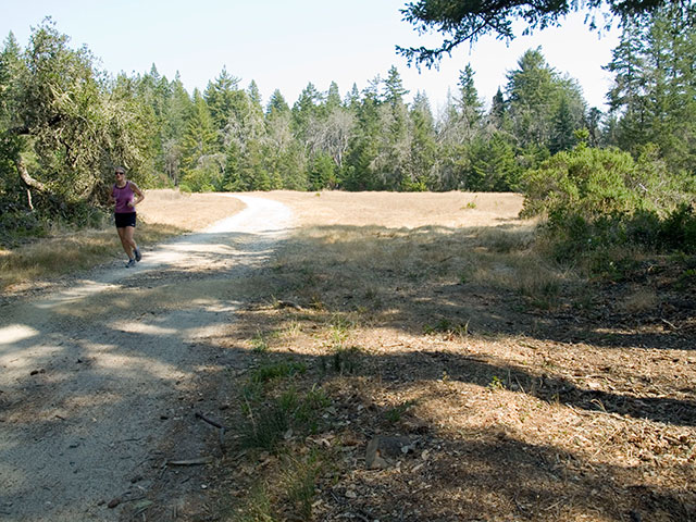 north-campus16_7-9-08.jpg 