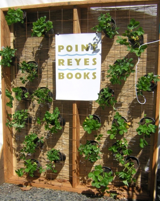 640_pointreyesbooksandberries__2_.jpg 