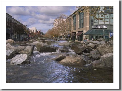cc_creek_at_borders.jpg