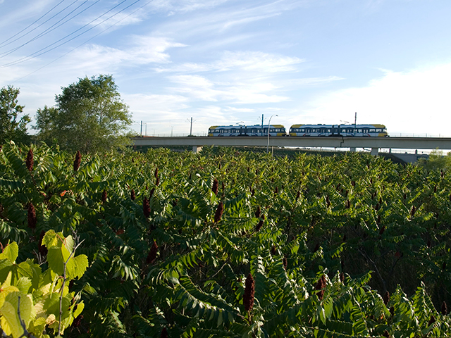 lightrail_9-3-08.jpg 