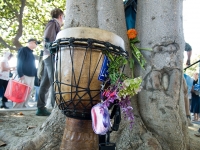 drum-tree_9-10-08.jpg