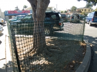 mesh-fence_9-24-08.jpg