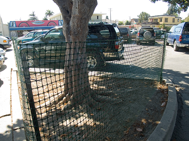 mesh-fence_9-24-08.jpg 