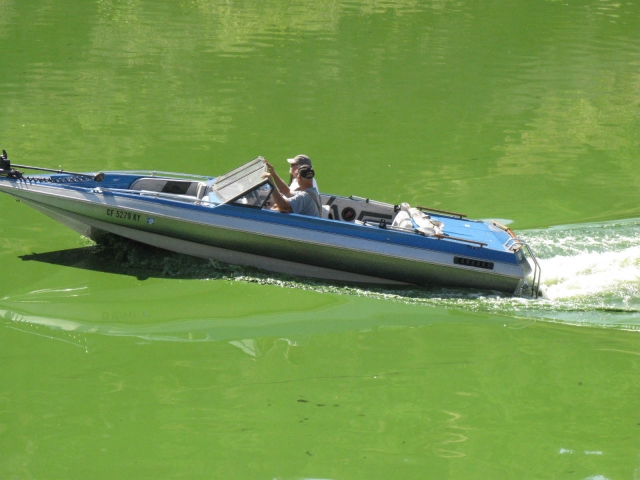640_boats_in_green_water-3-lowres.jpg