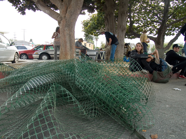 mesh-fencing_10-1-08.jpg 