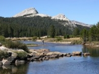 tuolumne_river.jpg