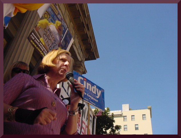 cindy_sheehan_protests_establishment_media.png 