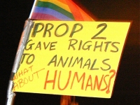 200_antiprop814.jpg