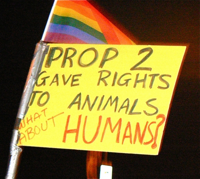 640_antiprop814.jpg