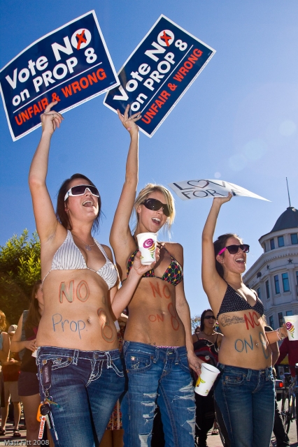 640_marriageequality_2008-11-15_scruz-7.jpg 