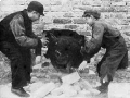 jewish_boys_in_warsaw_ghetto_smuggling_calf_for_food.jpg
