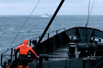 news_090106_1_1_steve_irwin_encounters_whaling_fleet.jpg 