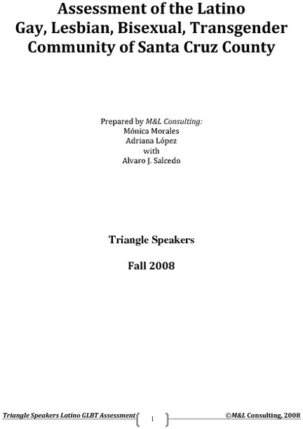 latino-glbt-report-2008.pdf_600_.jpg