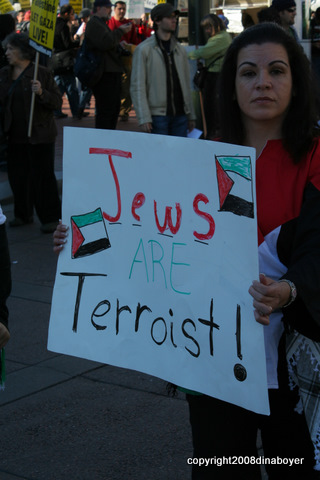 palestinian_protest_211.jpg 
