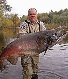 huge_chinook_salmon.jpg 