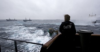 090204_steve_irwin_engages_japanese_harpoon_whaling_vessels.jpg 