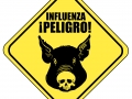 120_swine_flu_influenza_porcina_gripe_suina.jpg