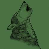 wolf.jpg 