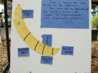 banana-split_5-30-09.jpg