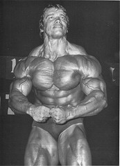 schwarzenegger_m.jpg 