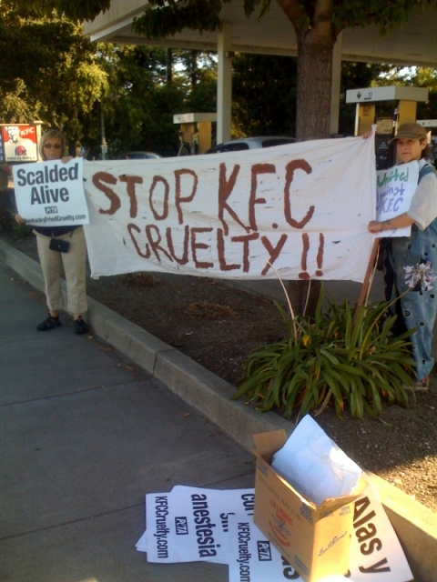 640_kfc_demo_2.jpg 