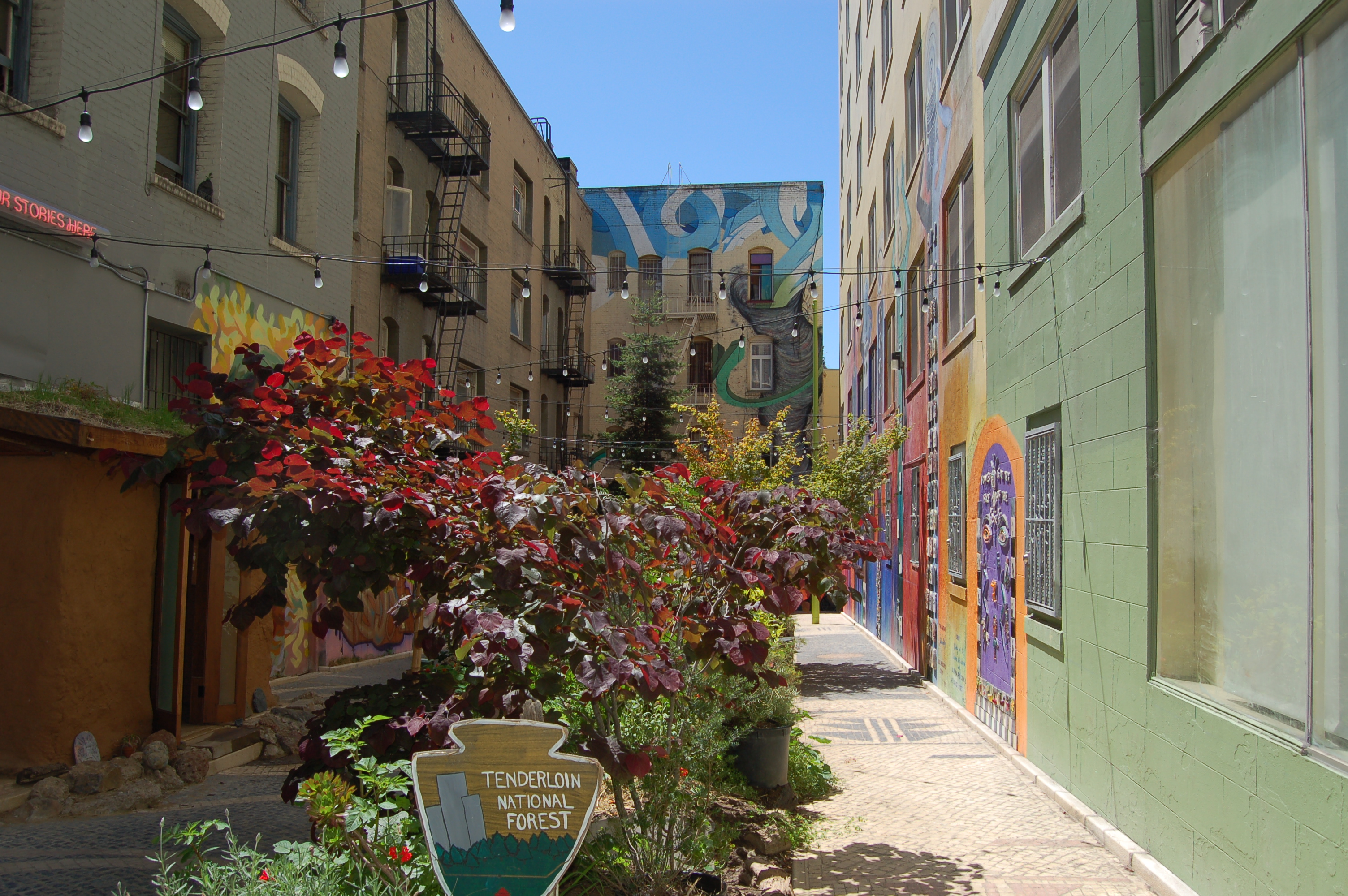 Tenderloin National Forest Indybay