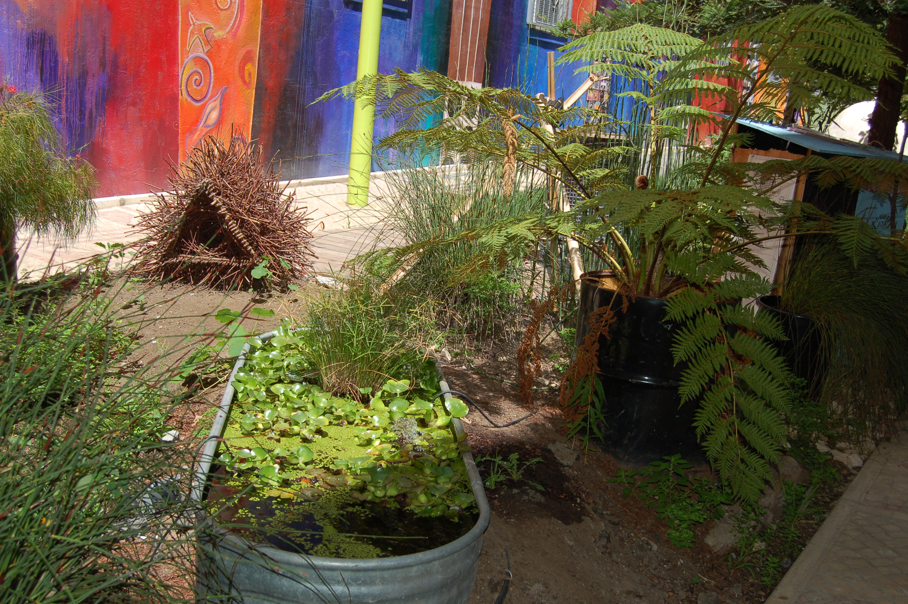 Tenderloin National Forest Indybay