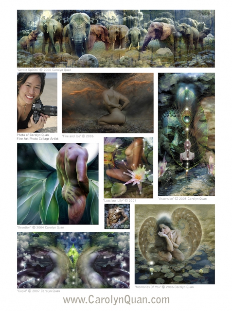 640_carolynquan.images_1.jpg