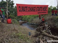 greenpeace_forest_climate_camp.jpg