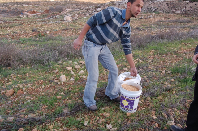 640_siah_jarah__kryut_180.jpg 