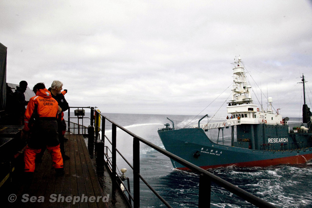 091222_shonan_maru_no_2.jpg 