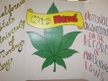 csumb-norml-3.jpg