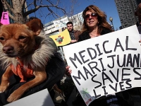 medical-marijuana-saves-lives.jpg