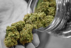 dispensary.jpg 