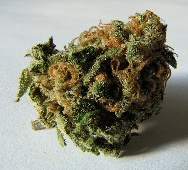 640_macro_cannabis_bud.jpg 
