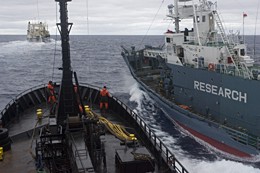 news_100206_1_1_nishan_maru_rams_bob_barker_01__gl3646_.jpg 