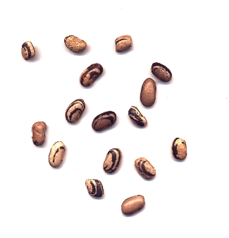 beans.jpg 