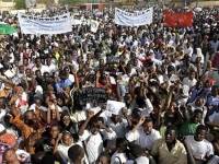 ap_niger_protest_niamey_20feb10_eng_480.jpg