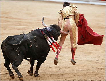 bullfightingback.jpg 
