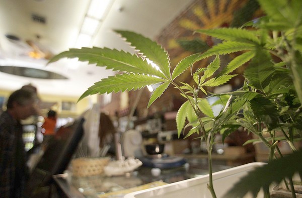 legalization-marijuana.jpg 