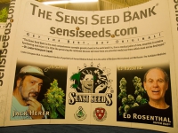 jack-herer_ed-rosenthal_sensi-seeds_4-18-10.jpg