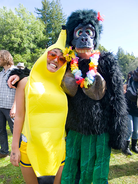 banana-ape-ucsc_4-20-10.jpg 