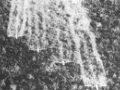 120_agent_orange_spraying.jpg