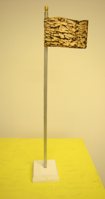 640_flag.jpg 