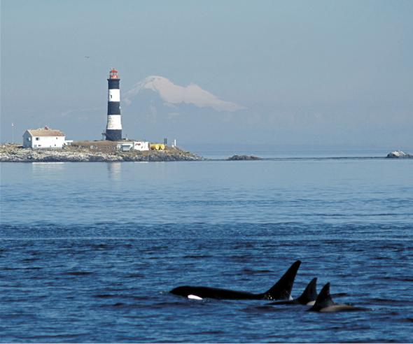 marine_protected_area.jpg 