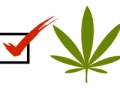 vote-cannabis.png