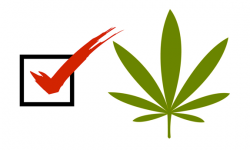 vote-cannabis.png 