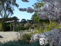 botanical_gardens_sf.jpg