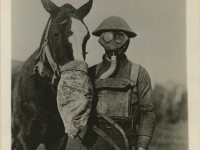 gasmask_for_horse_and_soldier.jpg