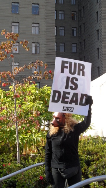 fur_free_friday_11-26-10_-_21.jpg 